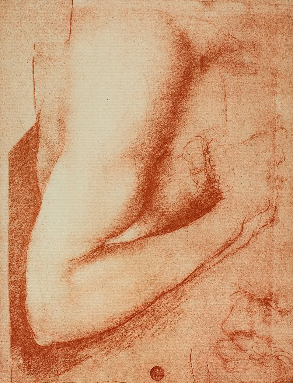 Studio di un braccio, disegno di Leonardo da Vinci. Gallerie dell
