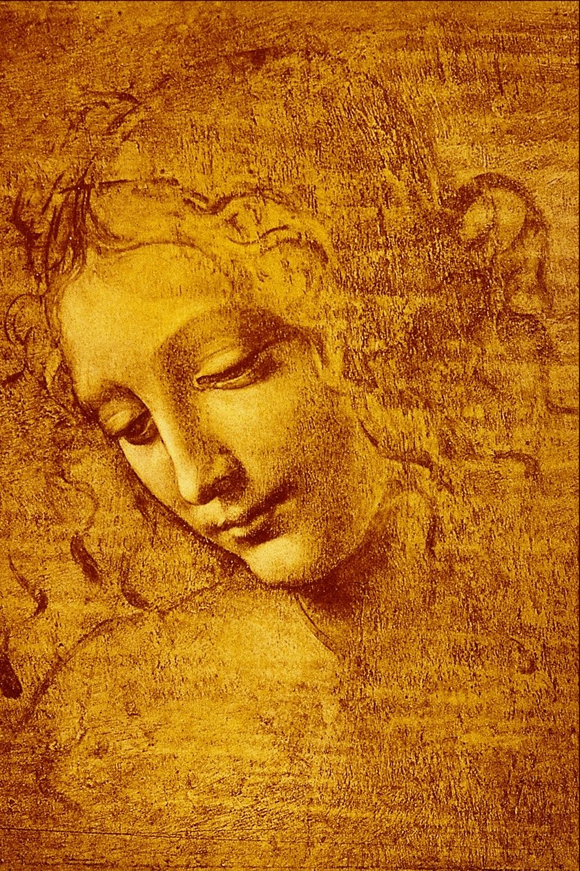 Testa di fanciulla detta La... da Leonardo da Vinci