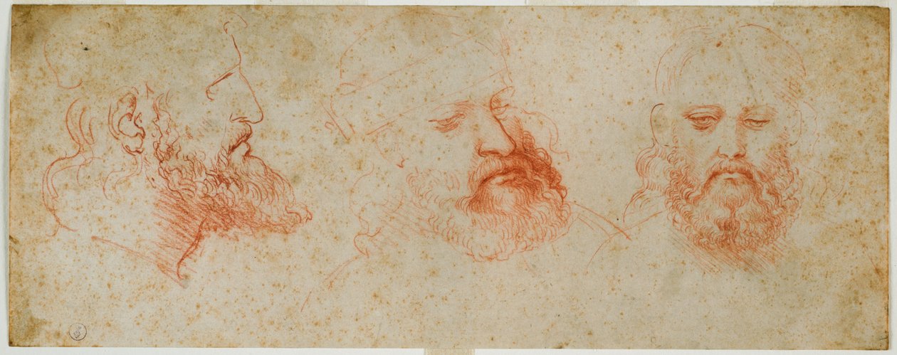 Tre viste di testa maschile con barba, c. 1502 da Leonardo da Vinci