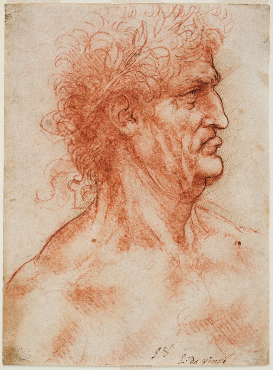 Testa virile di profilo coronata di alloro, c. 1506-10 da Leonardo da Vinci