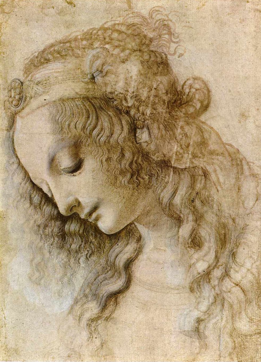 Testa femminile in profilo da Leonardo da Vinci