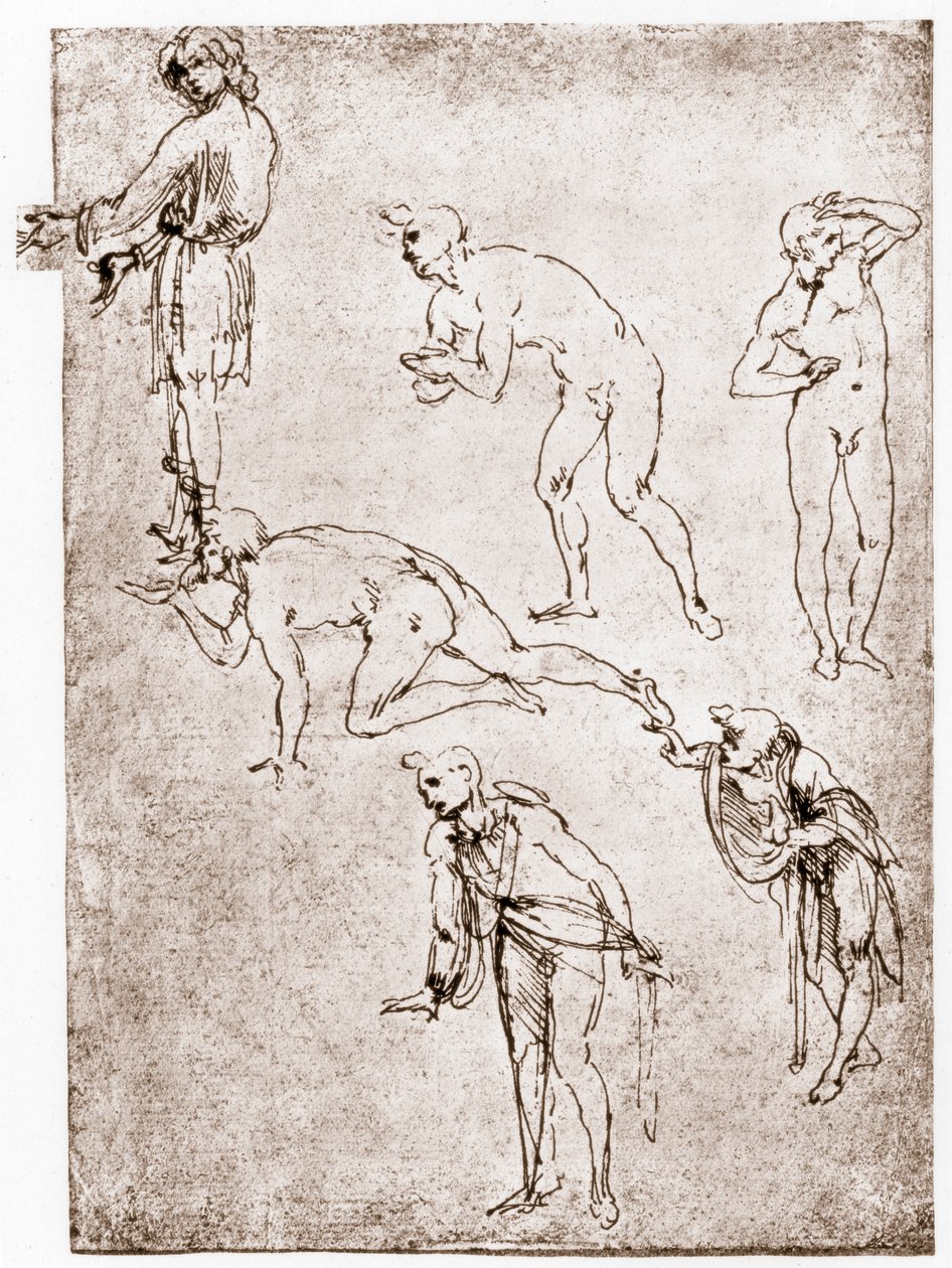 Adorazione dei pastori, c1478-1480 da Leonardo da Vinci