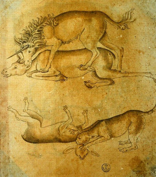 Animali da Leonardo da Vinci