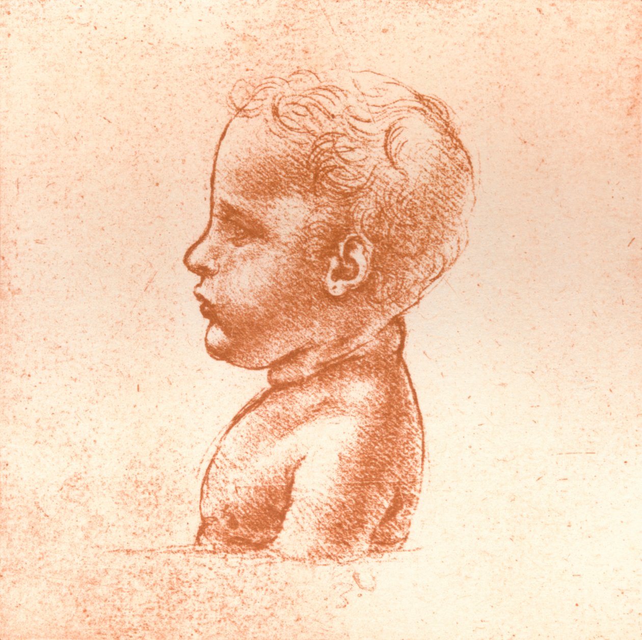 Busto di un ragazzo, c. 1472-c. 1519, 1883 da Leonardo da Vinci