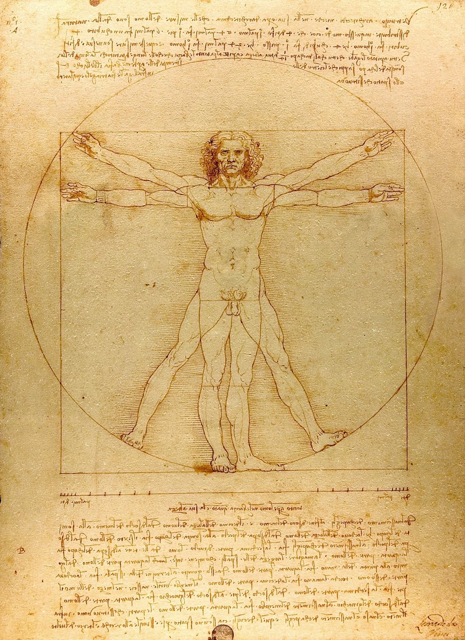 Da Vinci Vitruve Luc Viatour (ritagliato) da Leonardo da Vinci