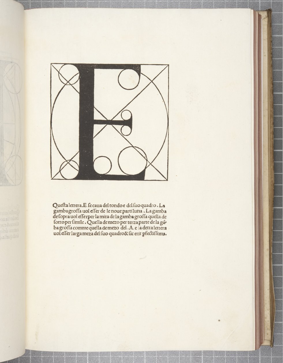 Divina Proportione da Leonardo da Vinci