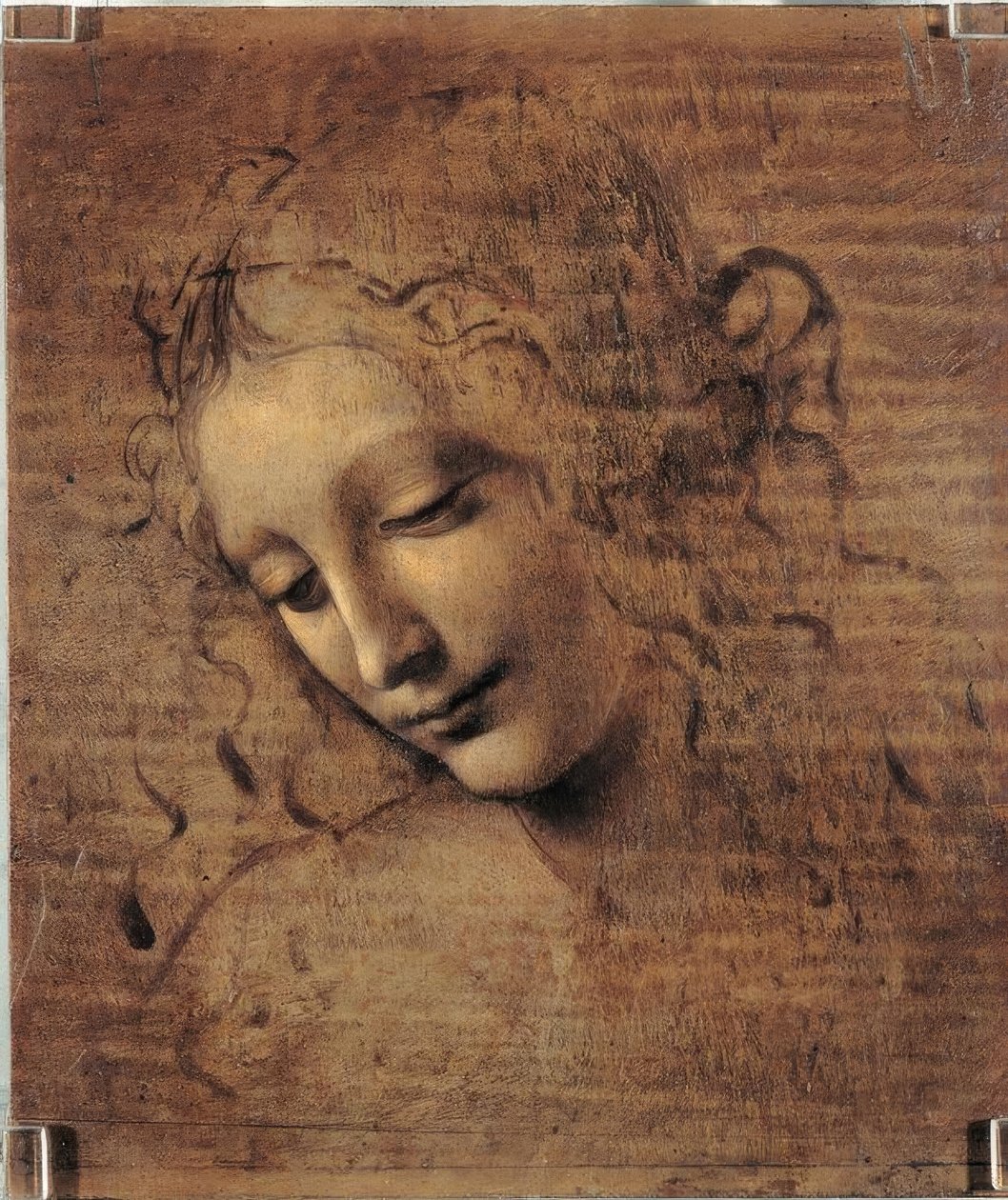 Testa di donna da Leonardo da Vinci