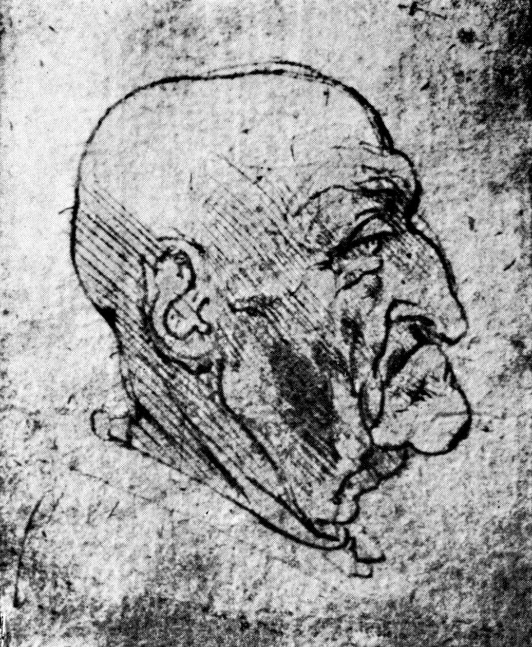 Testa di un vecchio da Leonardo da Vinci
