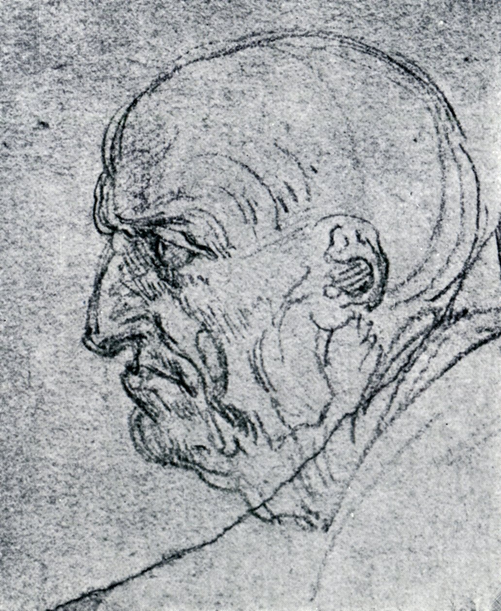 Testa di un vecchio, 1913 da Leonardo da Vinci