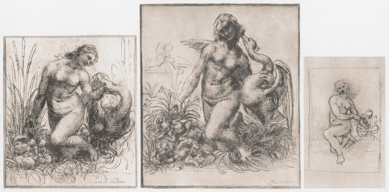 Leda e il cigno, c1504-1506 da Leonardo da Vinci