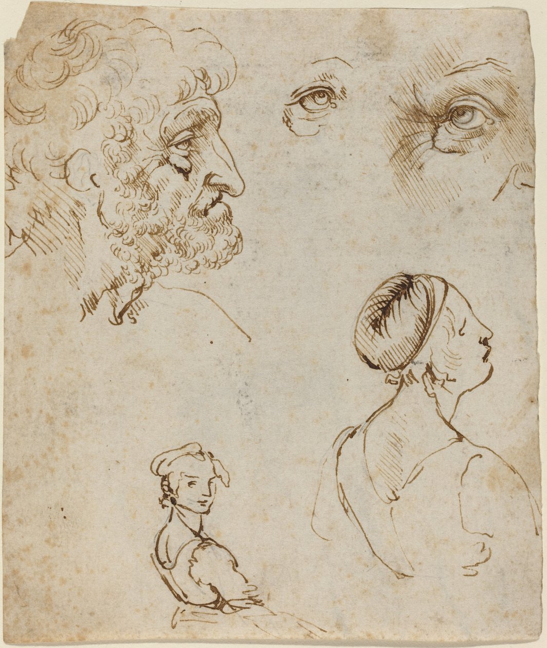 Foglio di studi da Leonardo da Vinci
