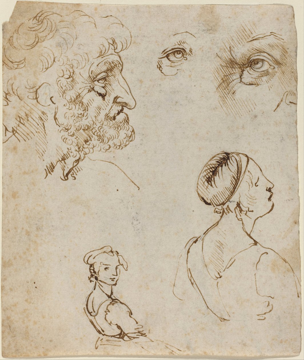 Foglio di studi [recto] da Leonardo da Vinci