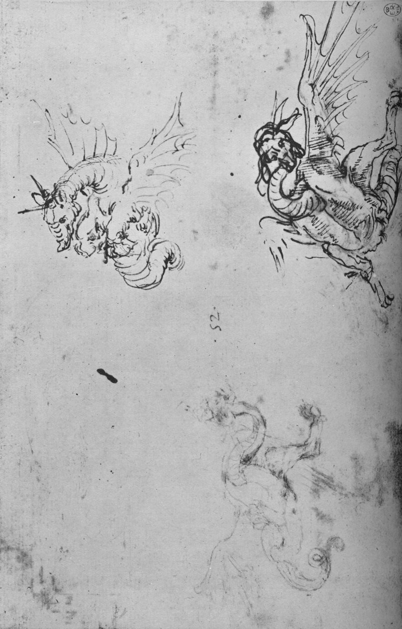 Studi di un Drago, c1480 1945 da Leonardo da Vinci