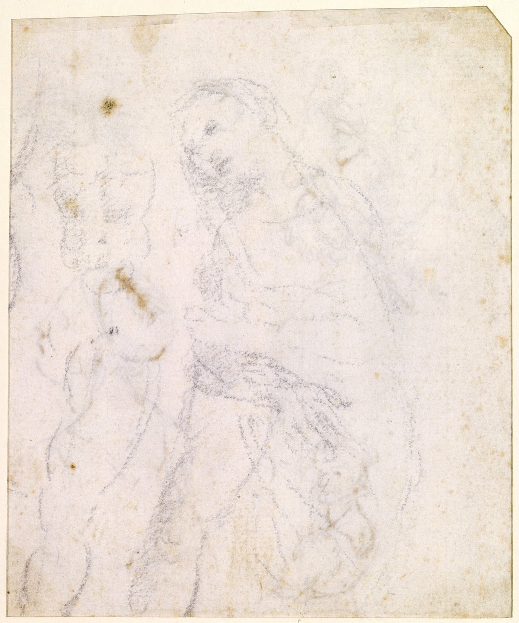 Studio di una Madonna da Leonardo da Vinci