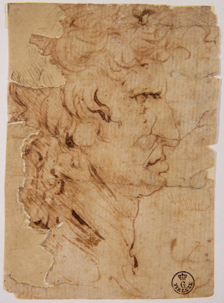 Immagine sconosciuta da Leonardo da Vinci