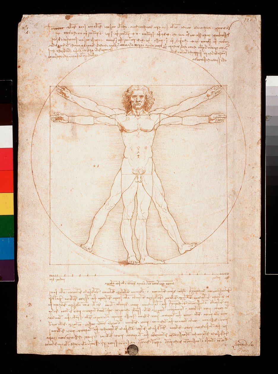 Uomo vitruviano da Leonardo da Vinci