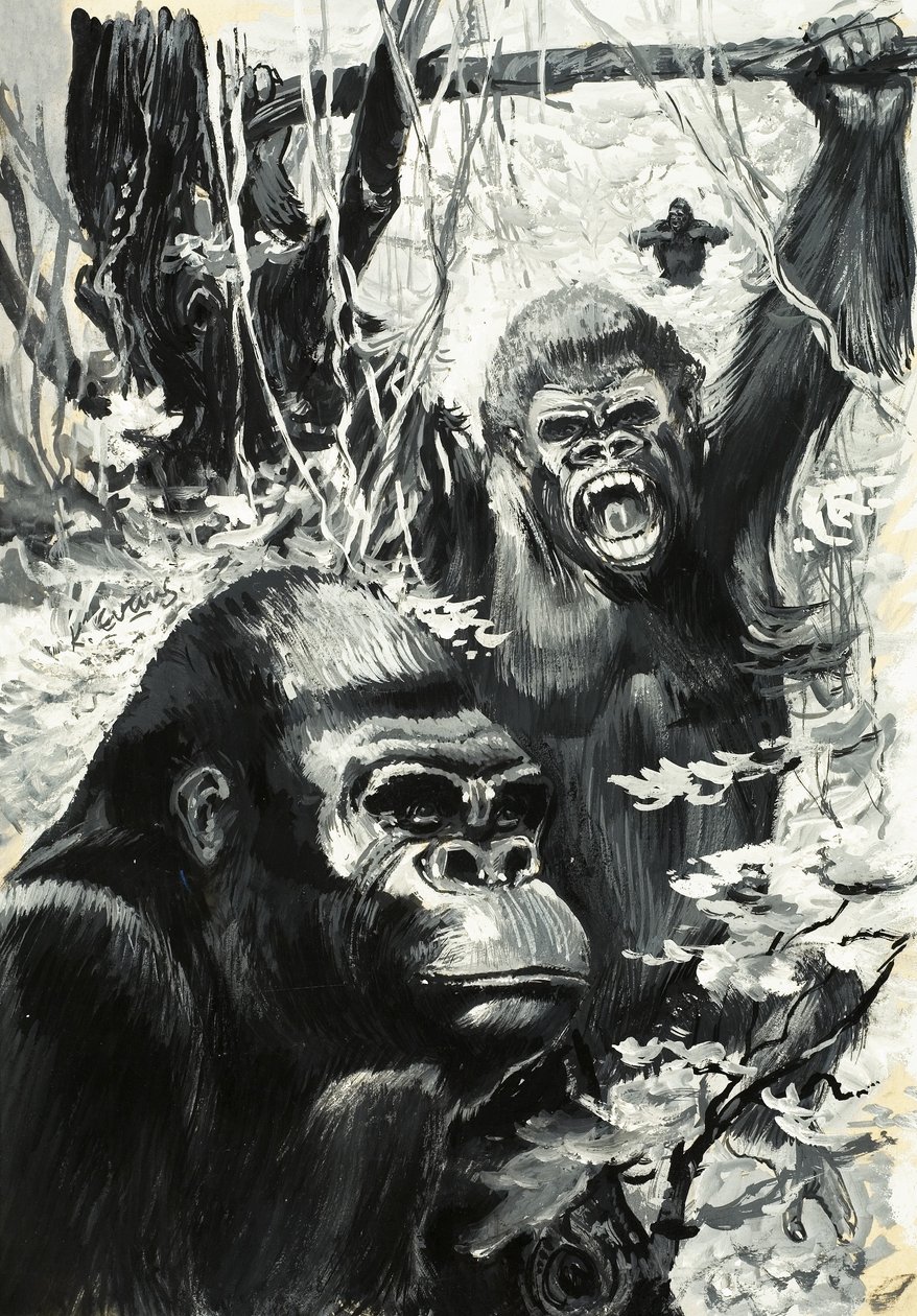 I gorilla da Leslie Field Evans