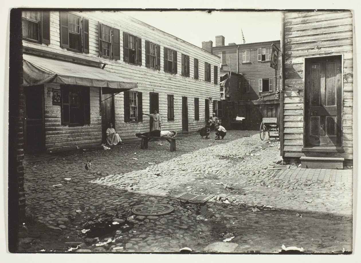 Vicolo dei negri che ospita i bianchi, Washington, D.C. da Lewis Wickes Hine