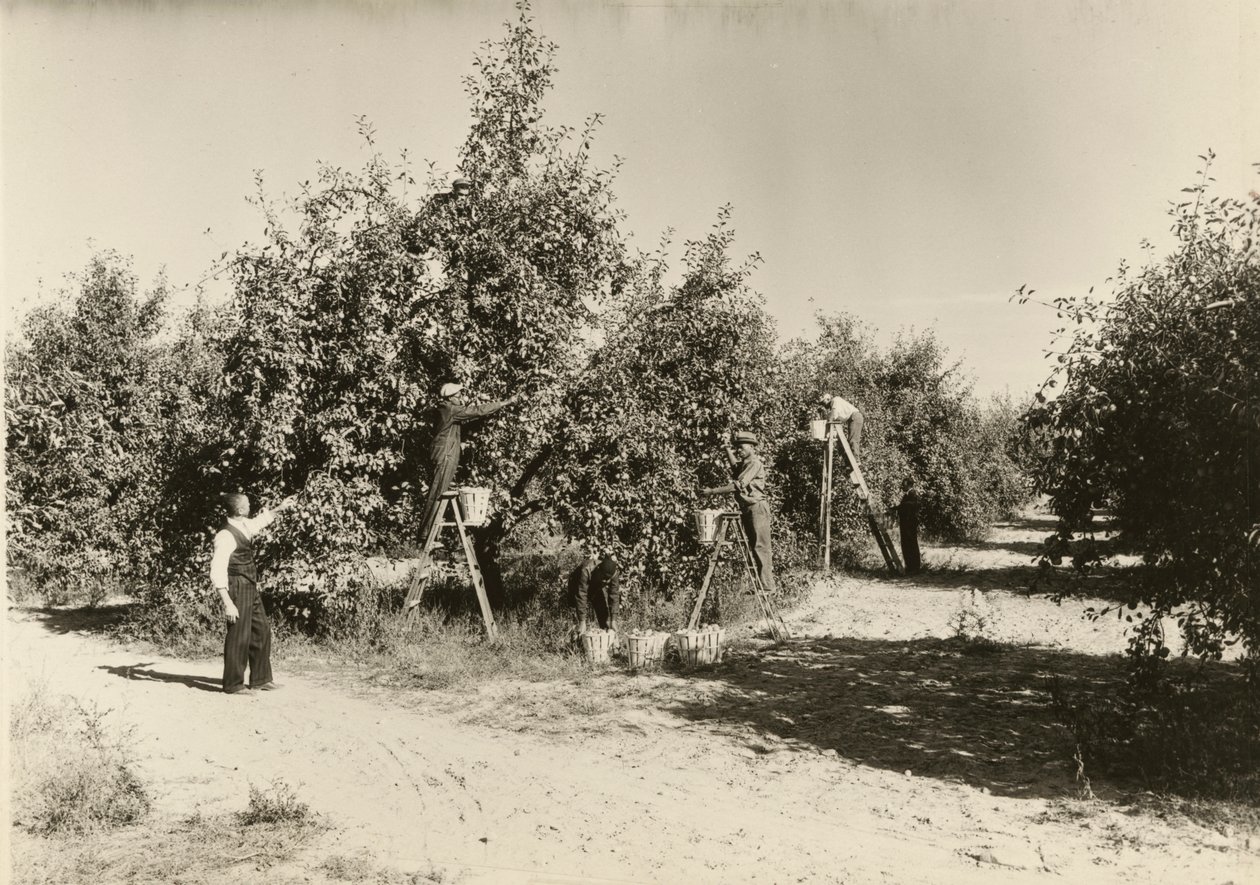 Senza titolo, ca. 1935 da Lewis Wickes Hine