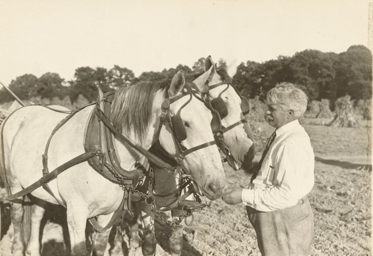 Senza titolo, ca. 1935 da Lewis Wickes Hine