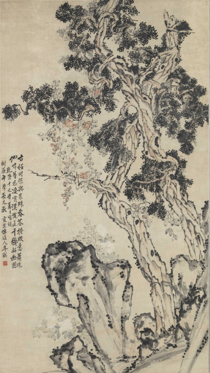 Cima del cipresso da Li Shan