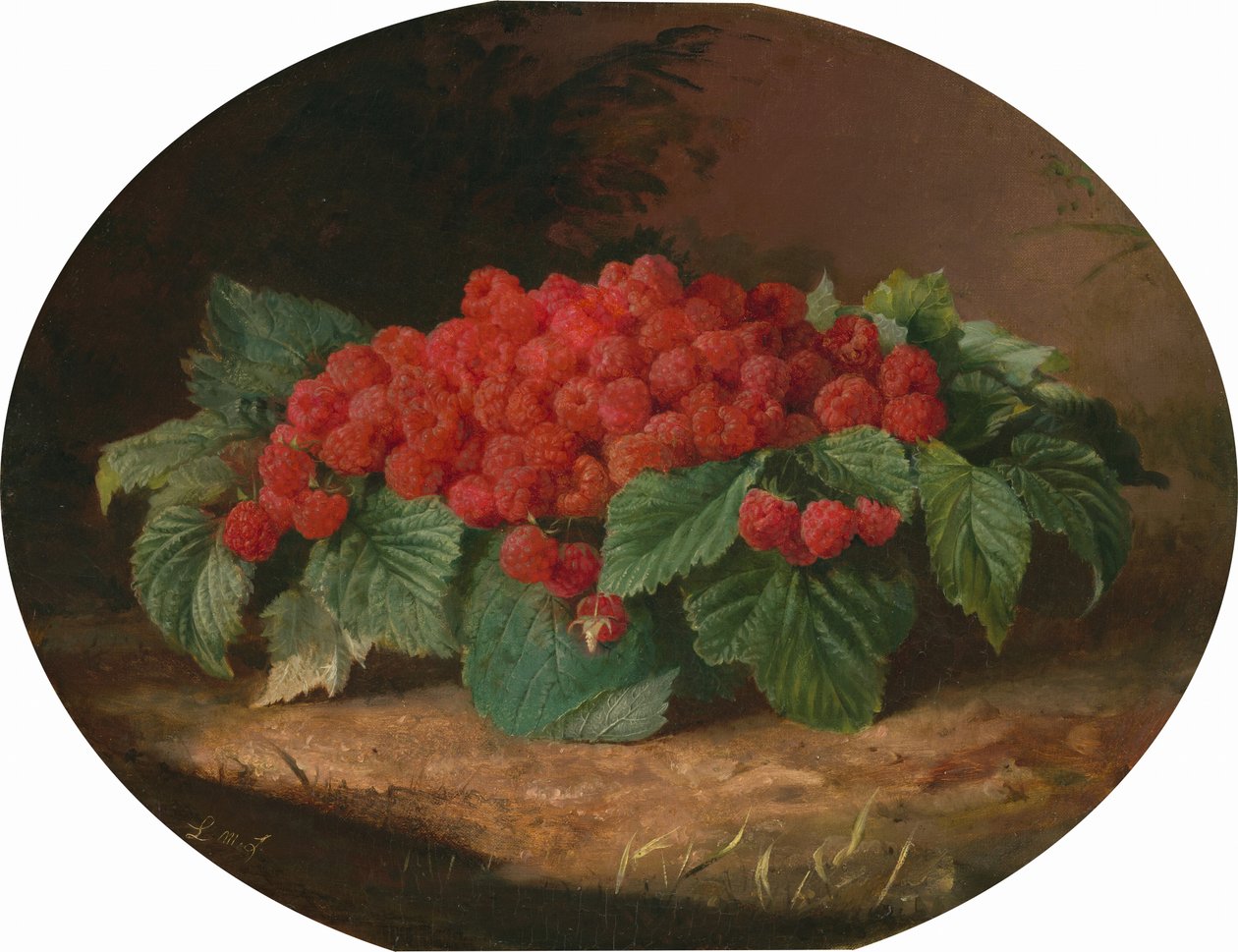 Lamponi da Lilly Martin Spencer