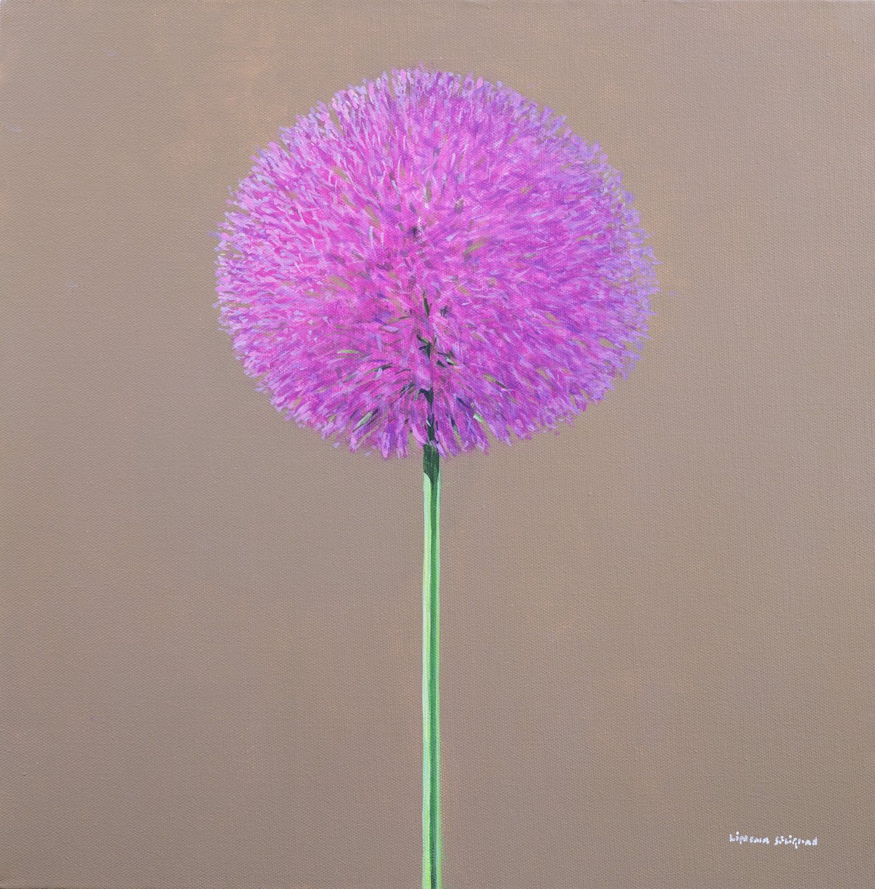 Alium da Lincoln Seligman