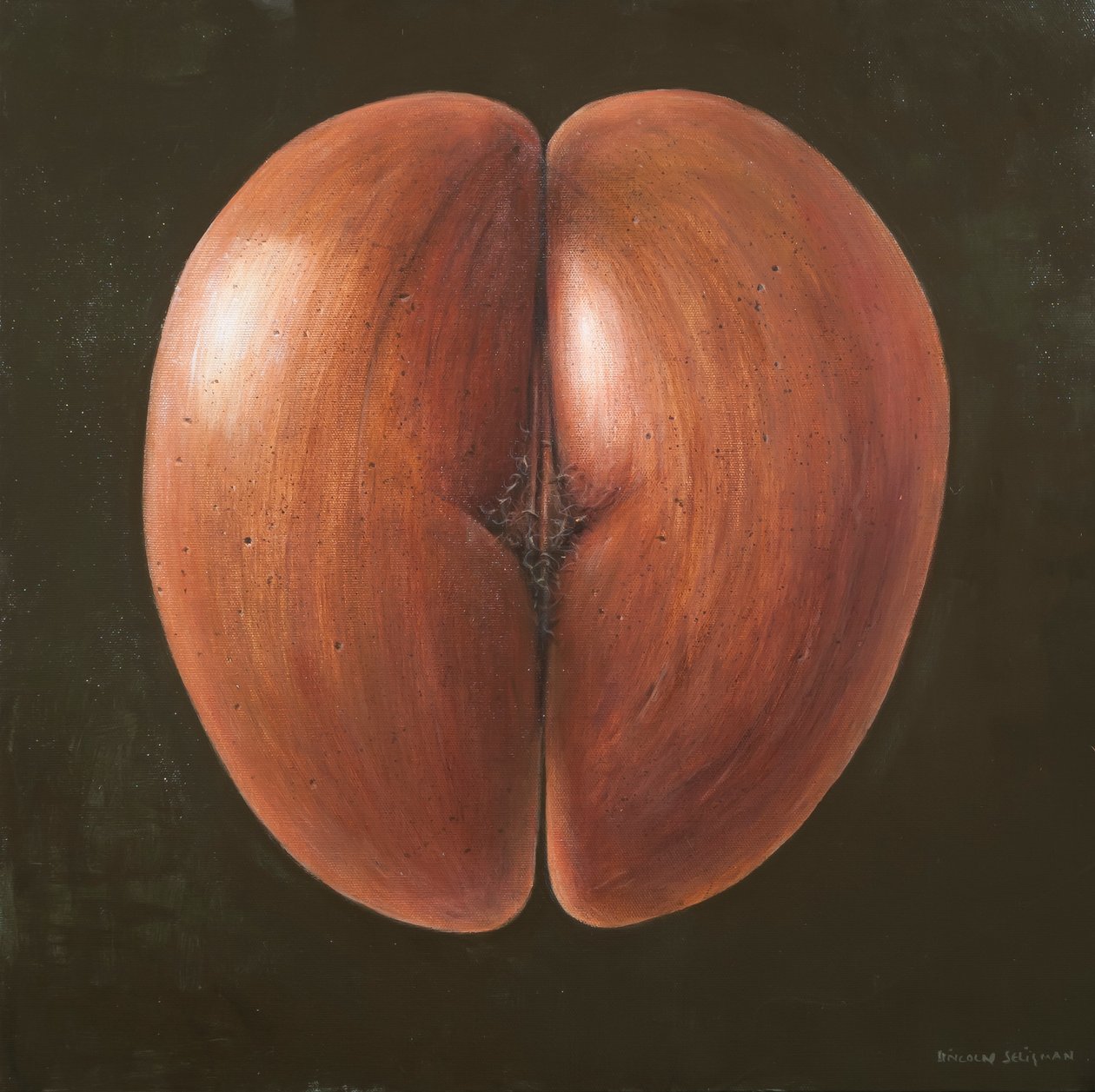 Coco de Mer, Maldive, 2012 da Lincoln Seligman