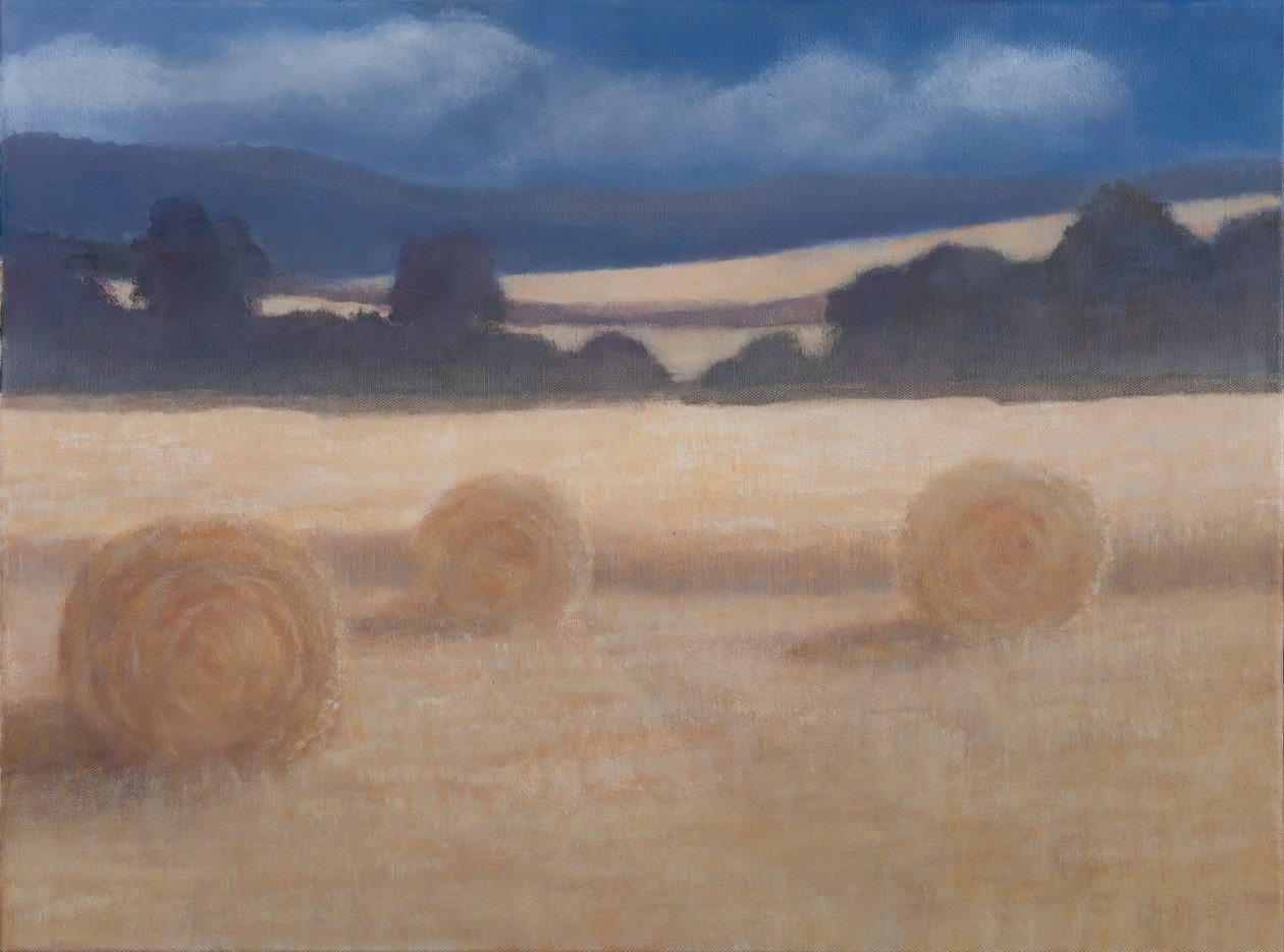Due balle di fieno, 2012 da Lincoln Seligman