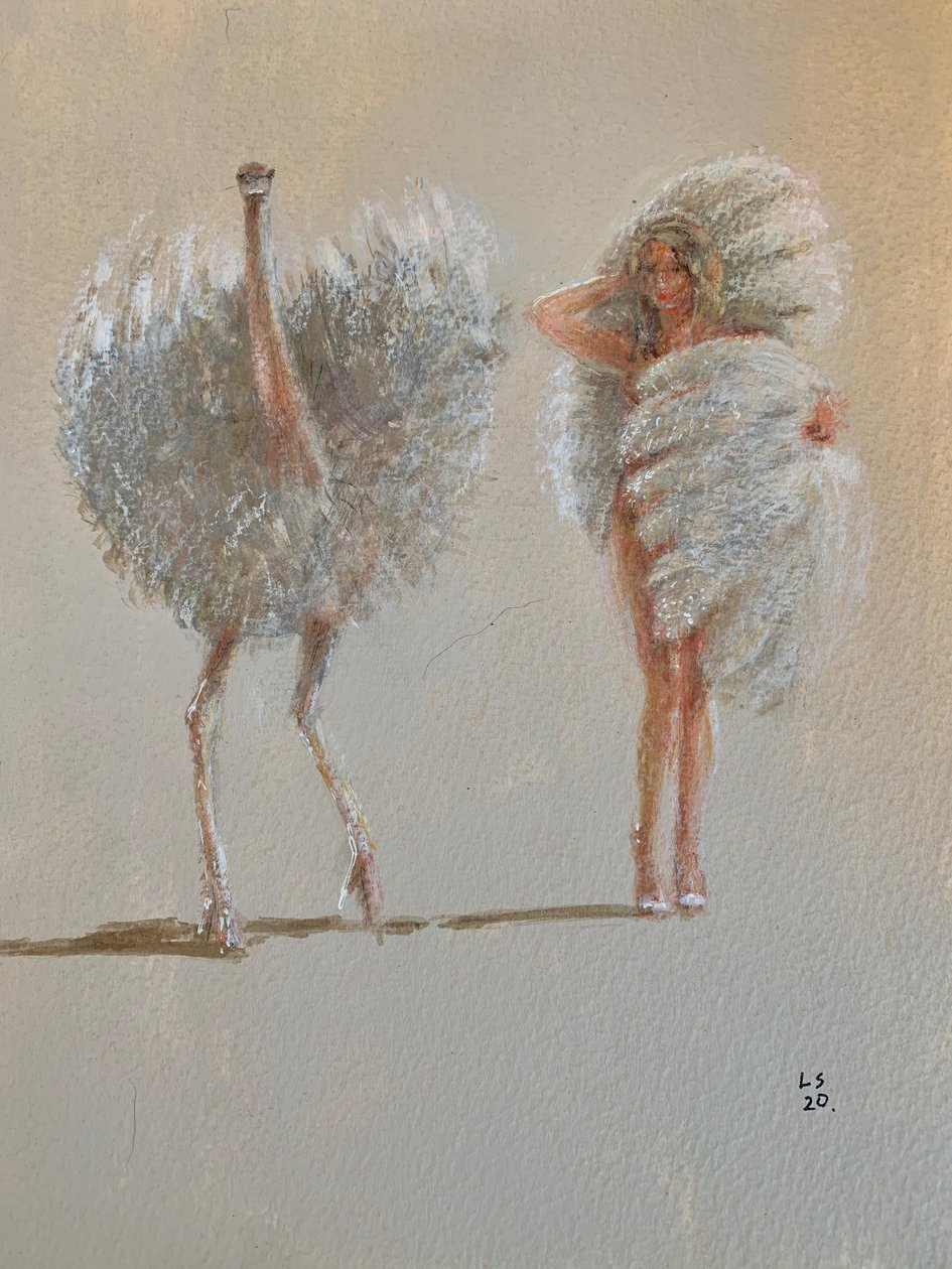 Balletto di struzzi bianchi da Lincoln Seligman
