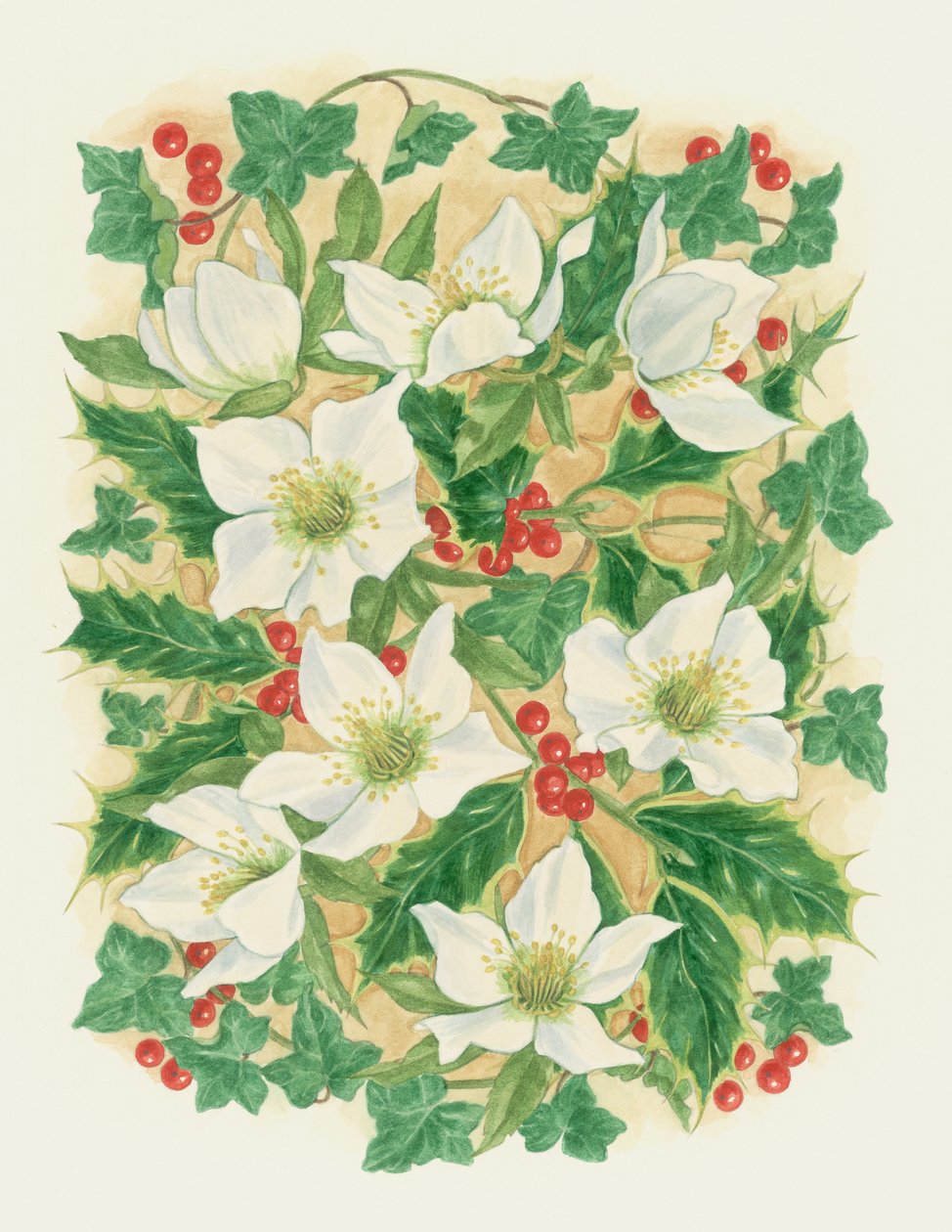 Rose di Natale da Linda Benton