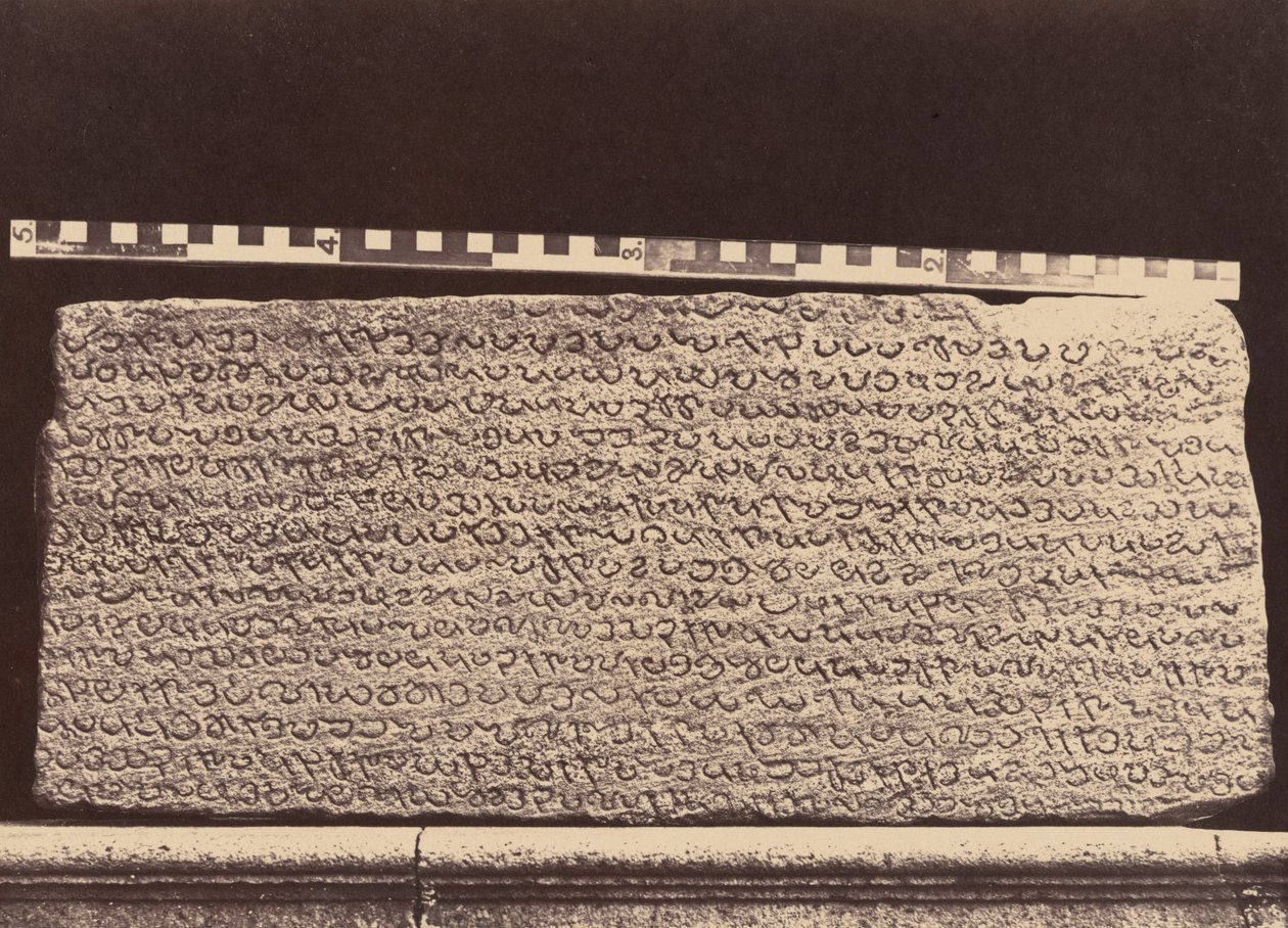 Marmi Elliot, 1859 (foto) da Linnaeus Tripe
