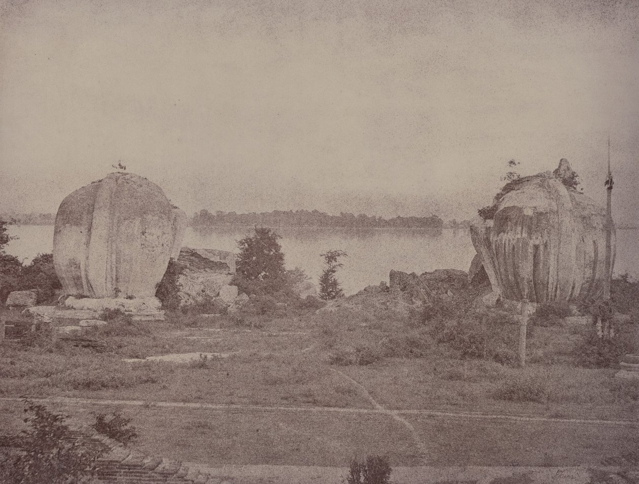 Mengoon: Grifoni in rovina da Linnaeus Tripe