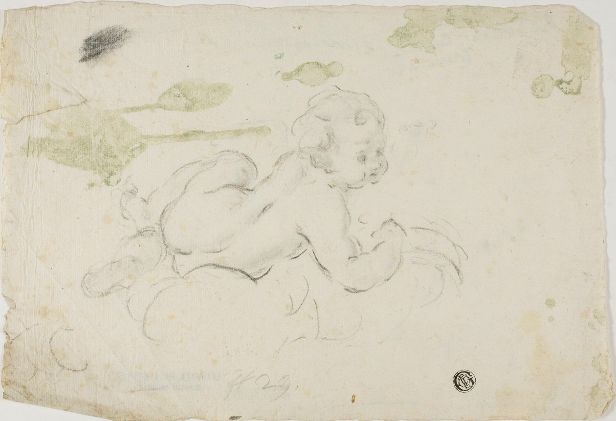 Putto da Lodovico Carracci