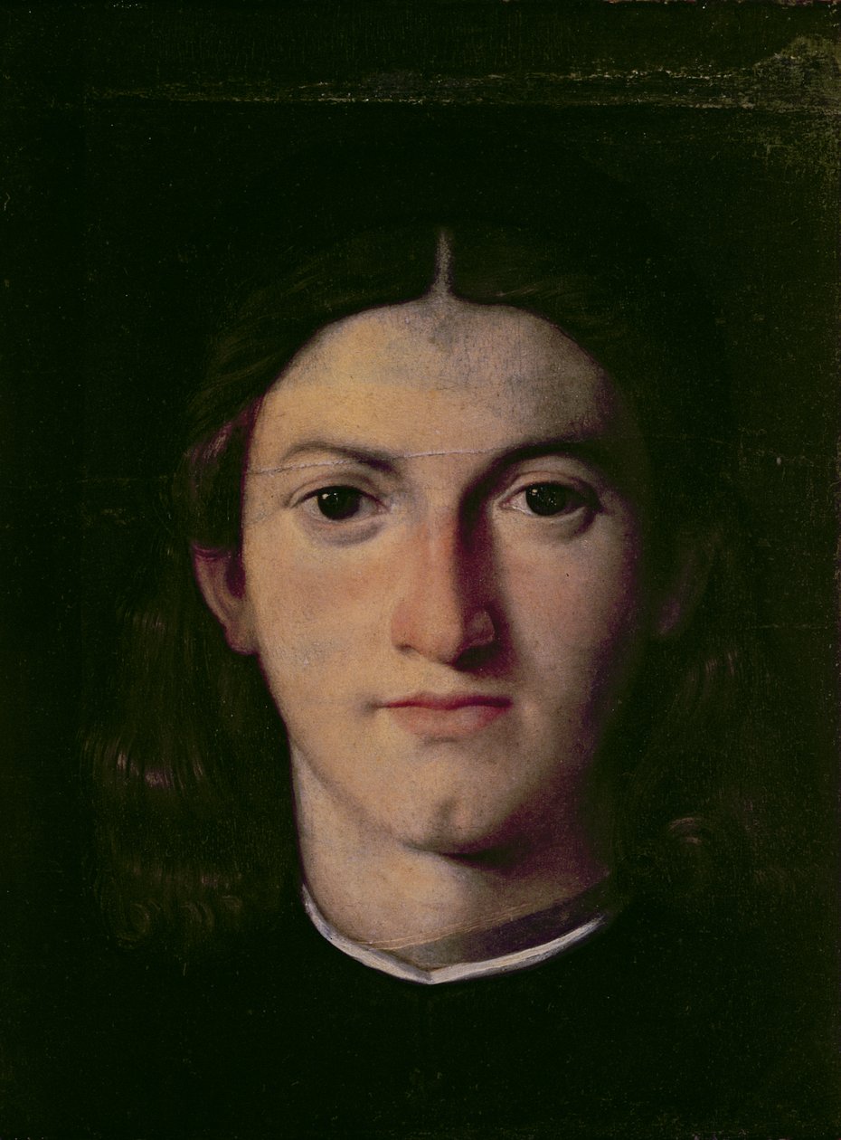 Ritratto di un giovane uomo, 1505 da Lorenzo Lotto