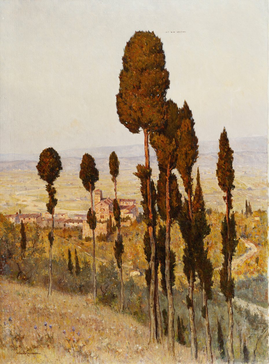 San Francesco, Assisi da Lorenzo Cecconi
