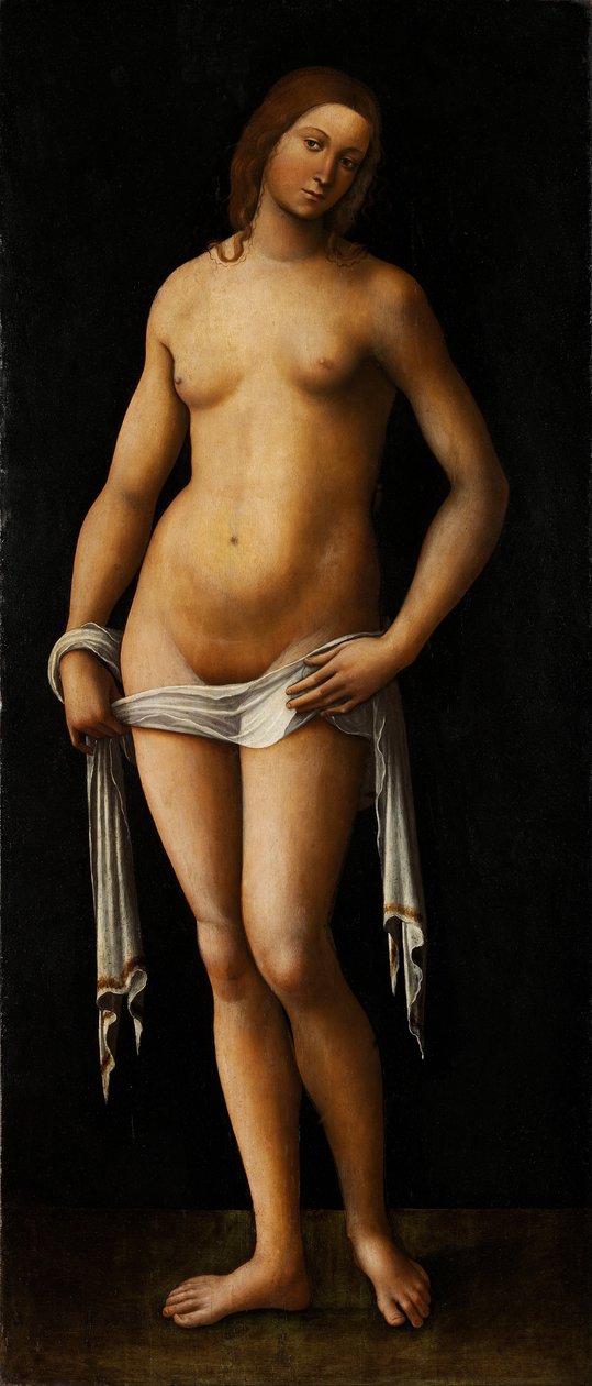 Venere da Lorenzo Costa