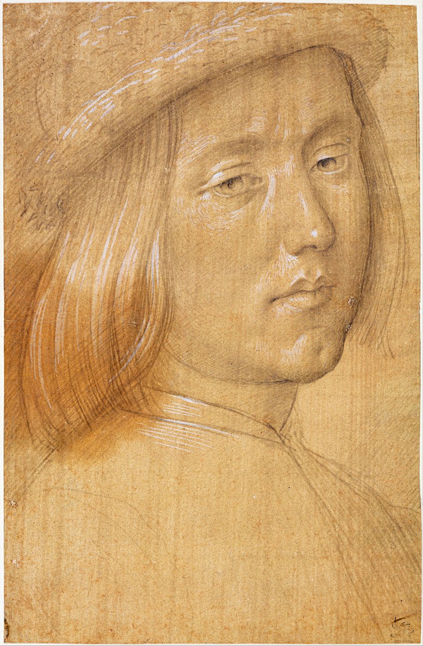 Testa di un giovane da Lorenzo di Credi