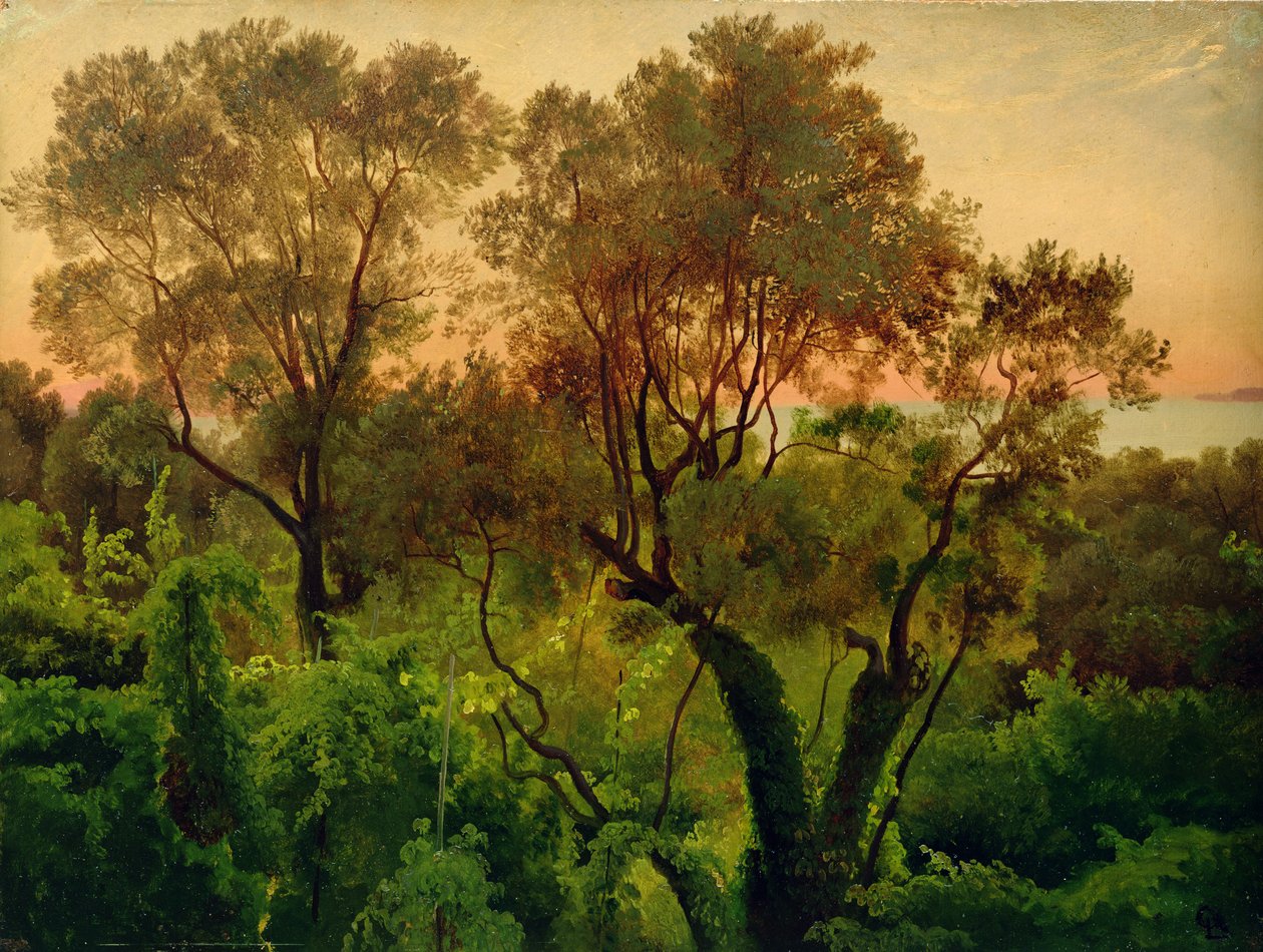 Pendio con ulivi da Louis Gurlitt