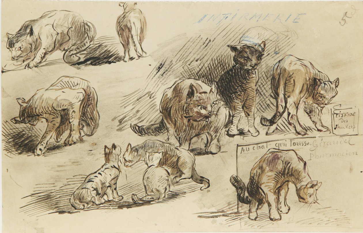 Disegno da Louis Marie Faudacq