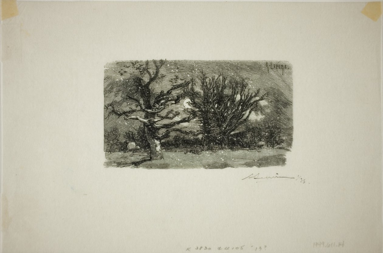 Au Dormoir de Lantara da Louis Auguste Lepère