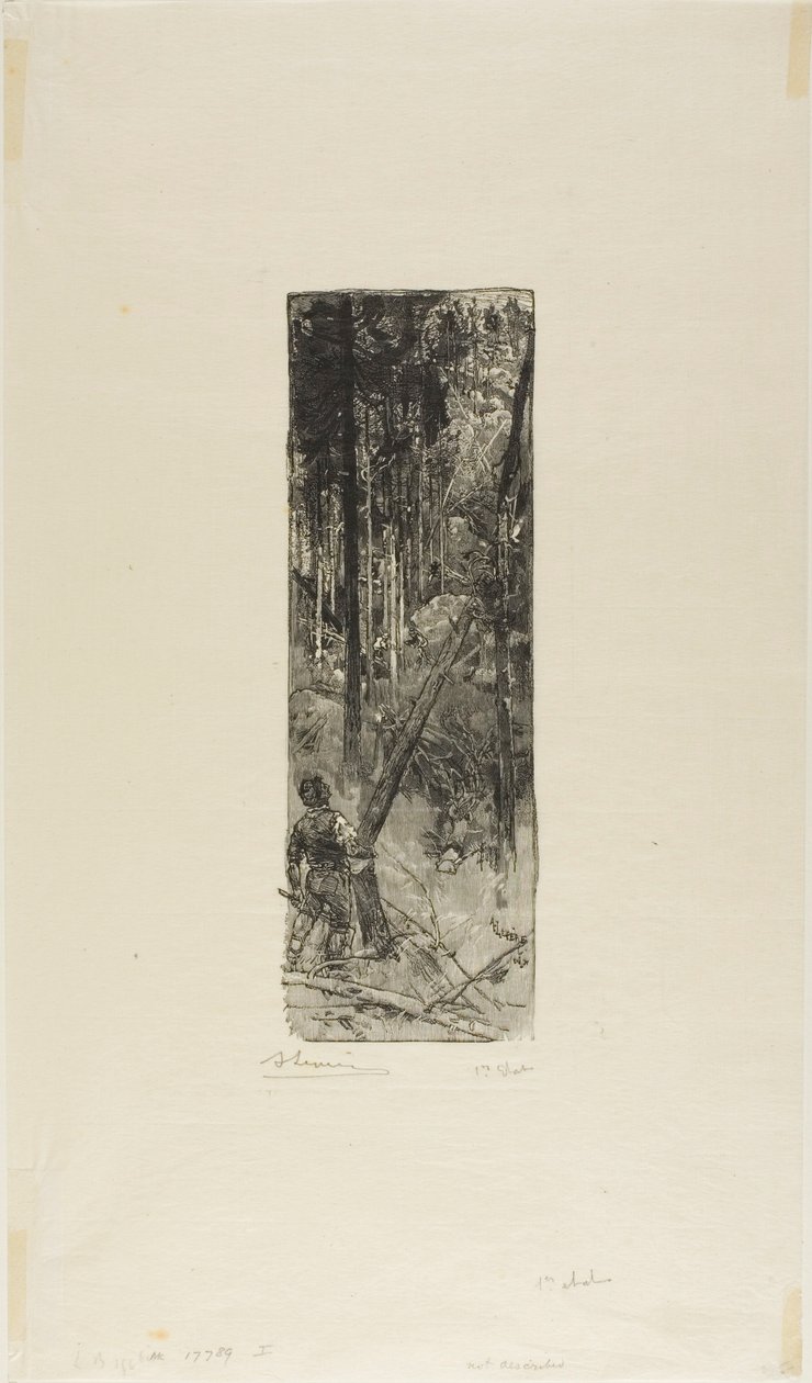 Pini cadenti da Louis Auguste Lepère