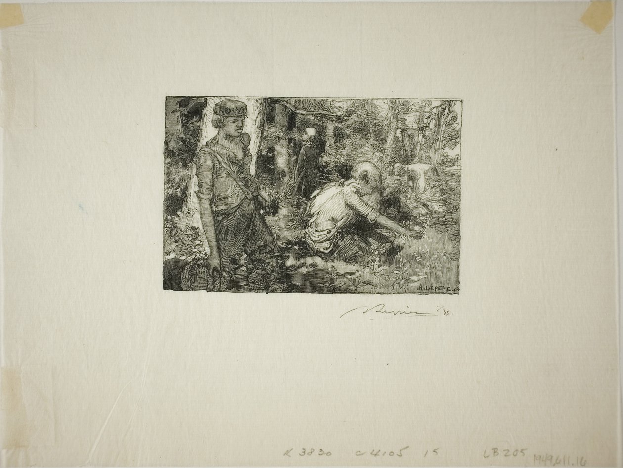 Raccolta del giglio di valle da Louis Auguste Lepère