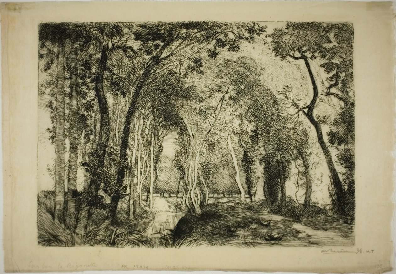 Sous Bois, a Rigonette da Louis Auguste Lepère