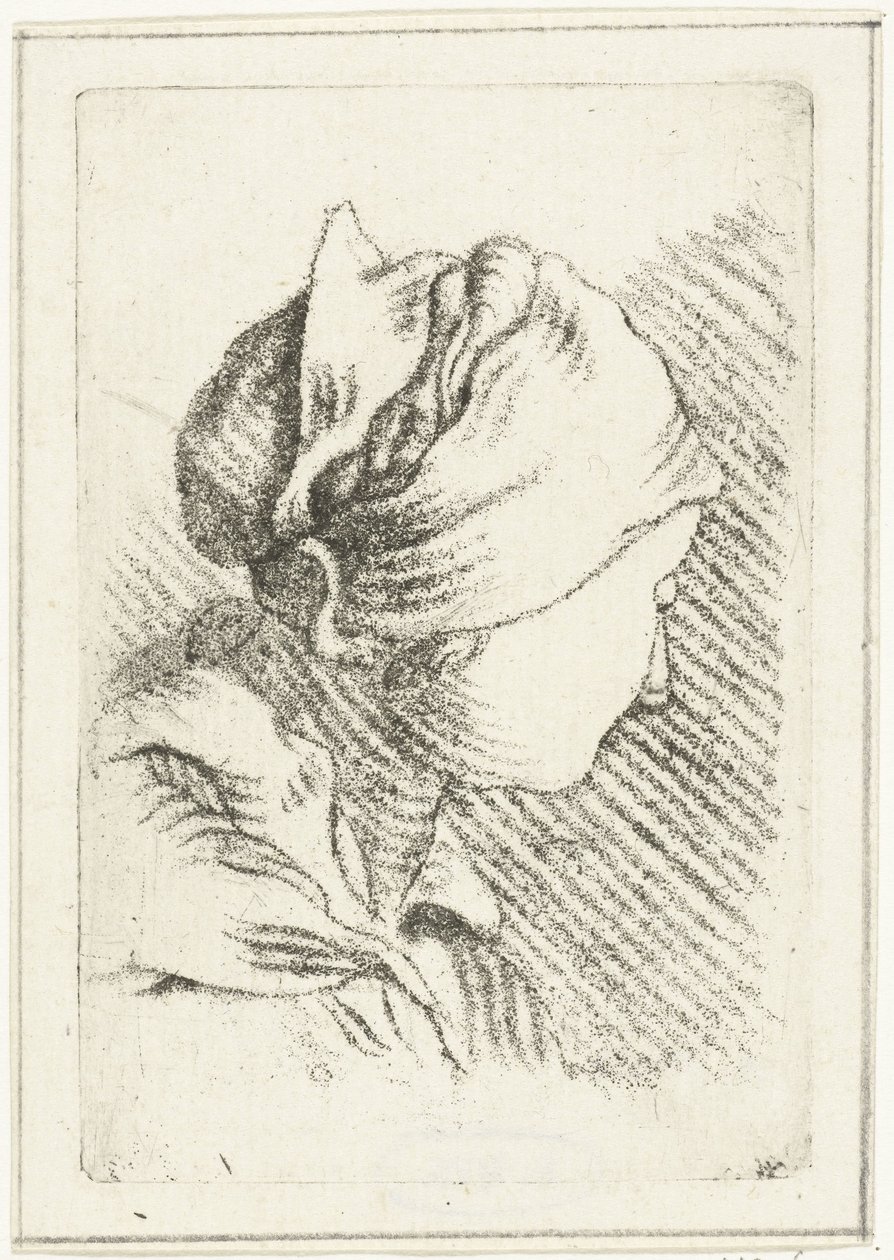 Foglio di studio con testa di donna con fazzoletto da Louis Bernard Coclers