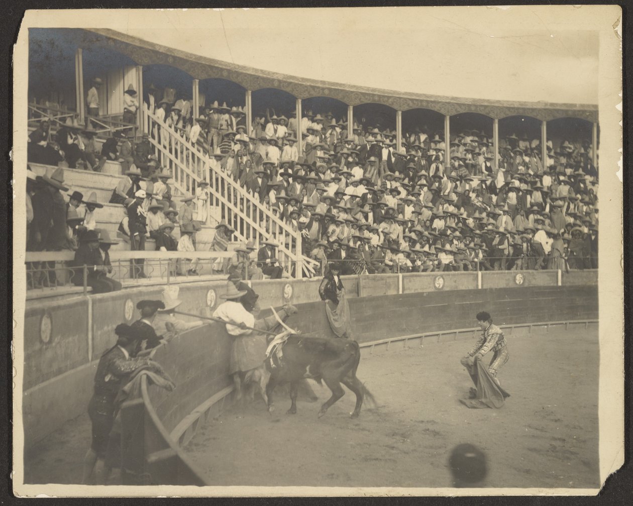 [Corrida] da Louis Fleckenstein