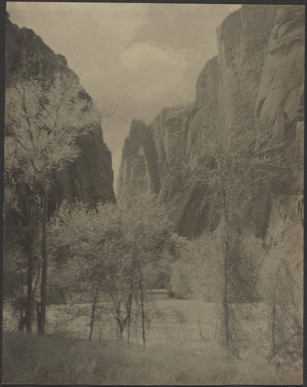 [Paesaggio del Canyon] da Louis Fleckenstein