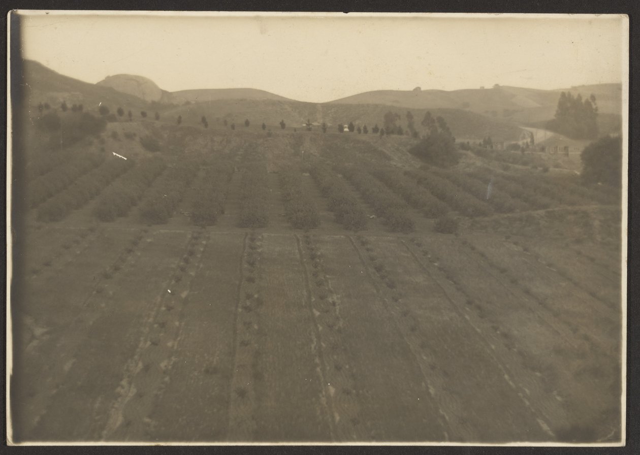 [Paesaggio agricolo] da Louis Fleckenstein