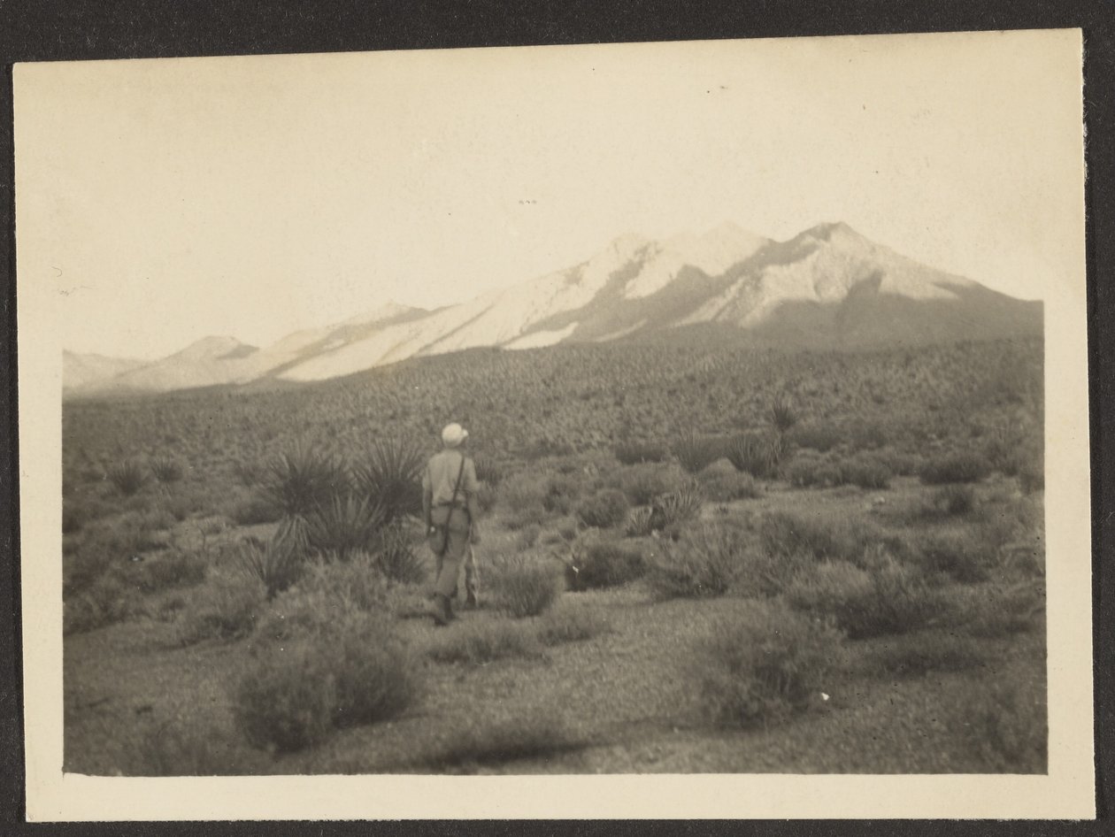 [Figura in paesaggio] da Louis Fleckenstein