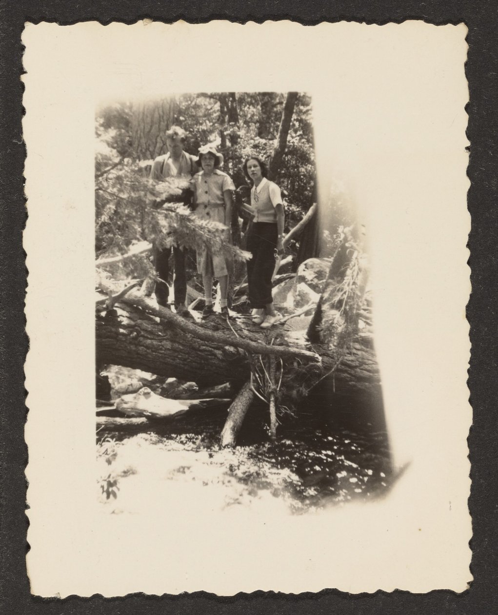 [Figure nel bosco] da Louis Fleckenstein